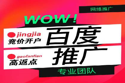 SEM代运营服务公司案例分析：数据驱动营销策略